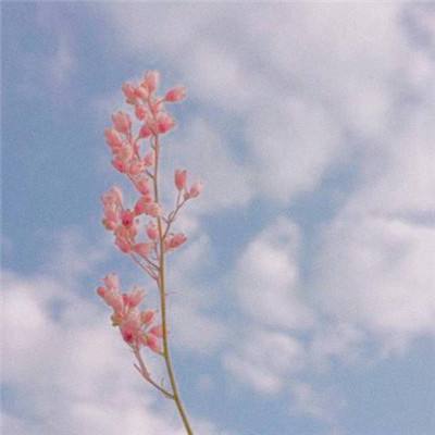 pg电子娱乐平台